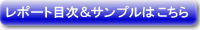���|�[�g�ڎ��ƃT���v��